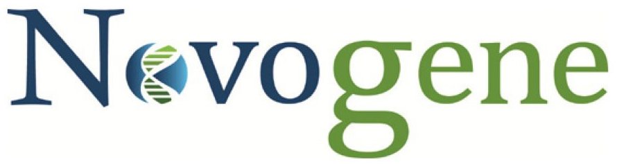 novogene_Logo
